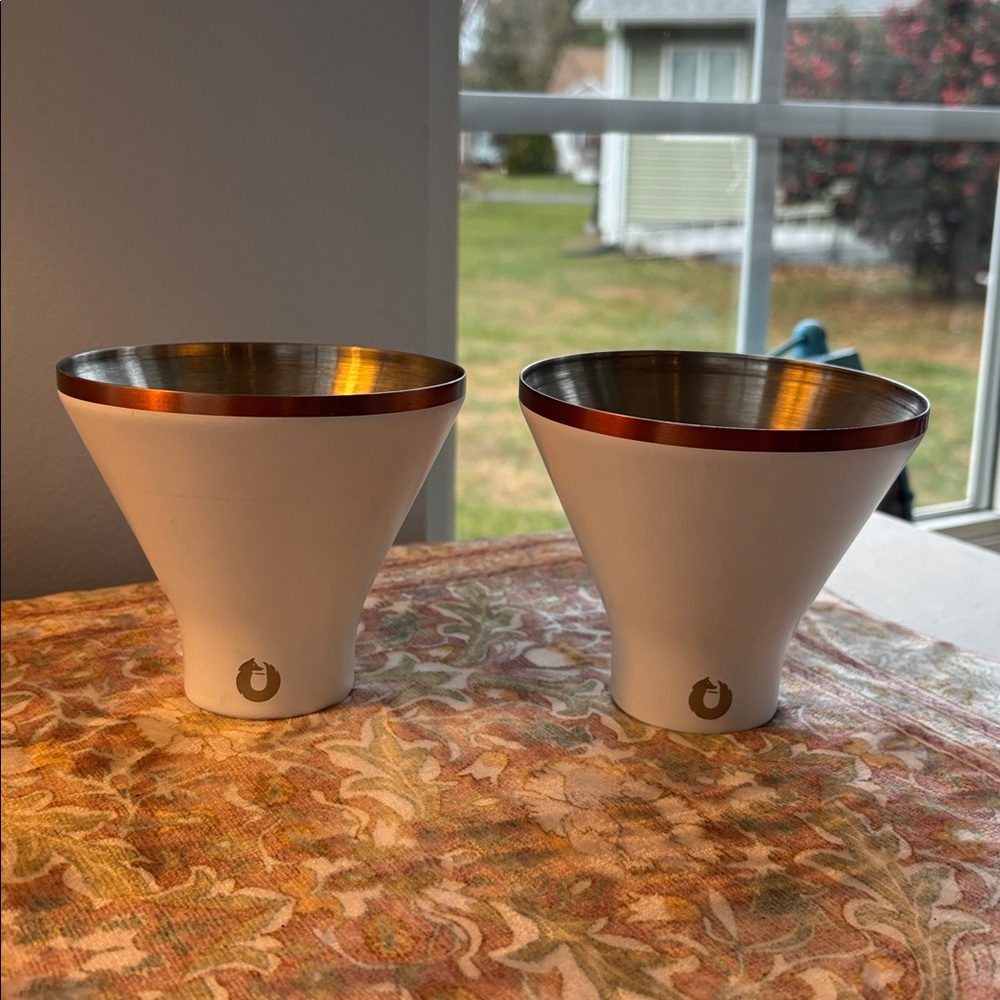 🍸🍸SNOWFOX 🍸🍸Premium Vacuum Insulated Stainless Steel Martini Glass, NWT